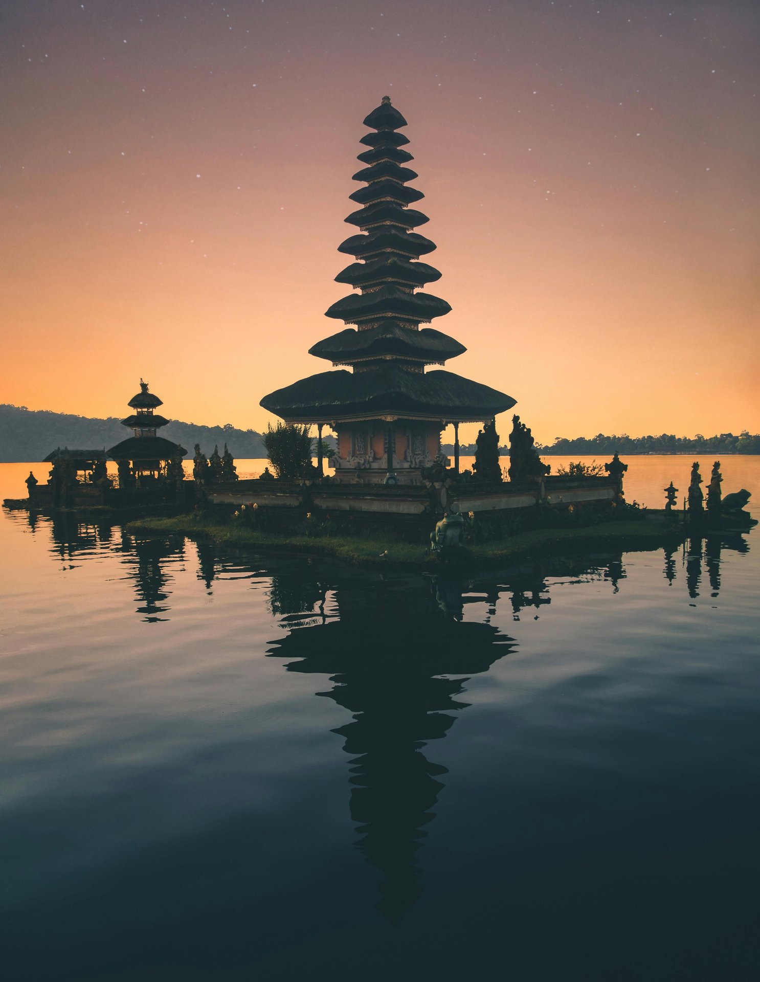 pexels-aronvisuals-1694621.jpg