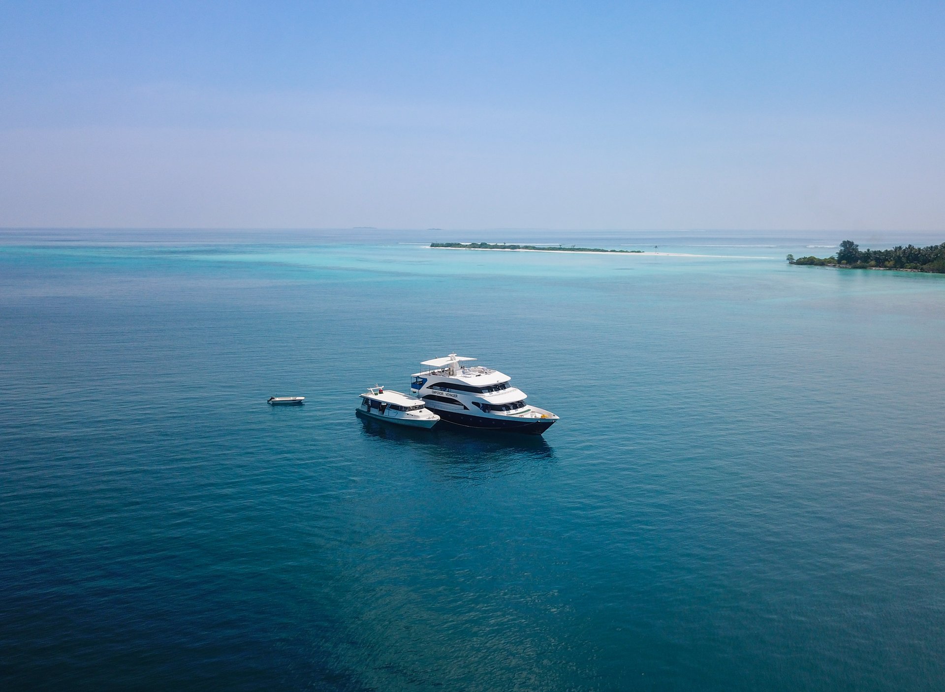Emperor Voyager drone 1©B.McAteer.jpg