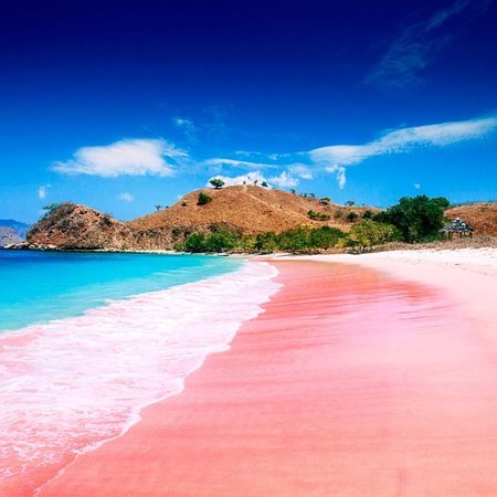 Pink Beach Komodo.jpg