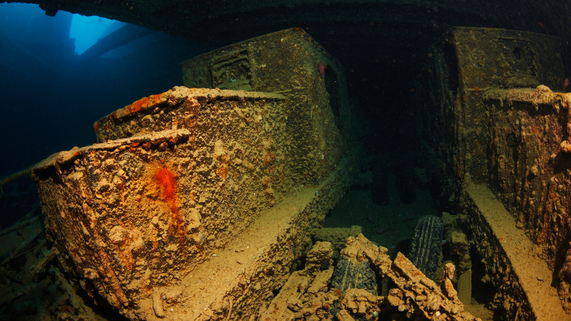 Thistlegorm 023