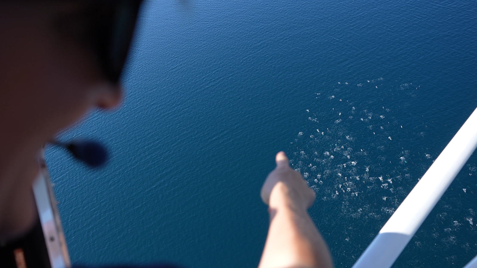 Móbulas desde el aire