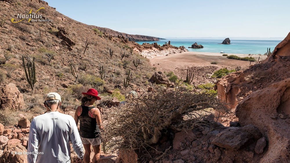 Sea of Cortez BajaEx