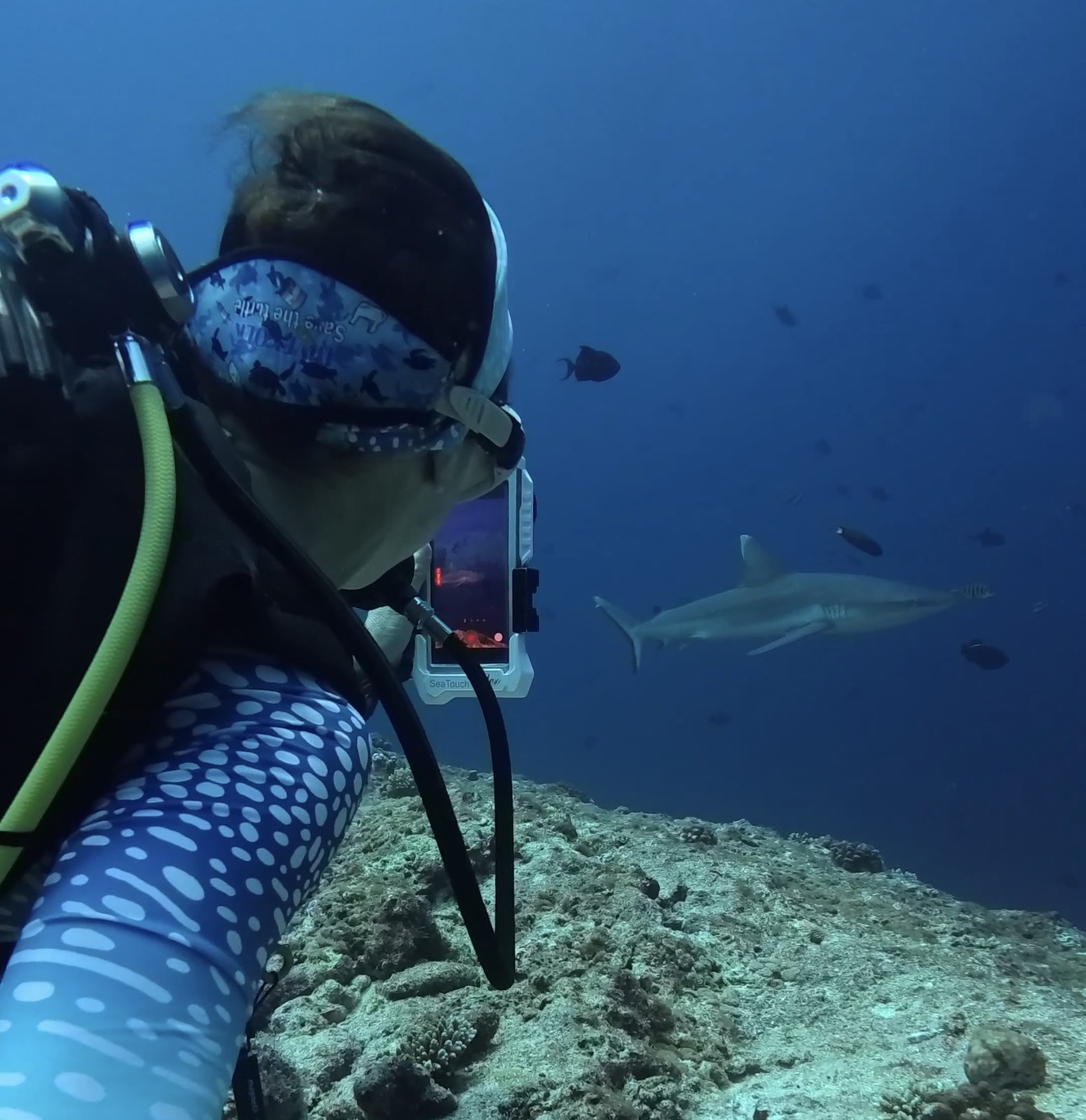 Tours de buceo para todos los niveles