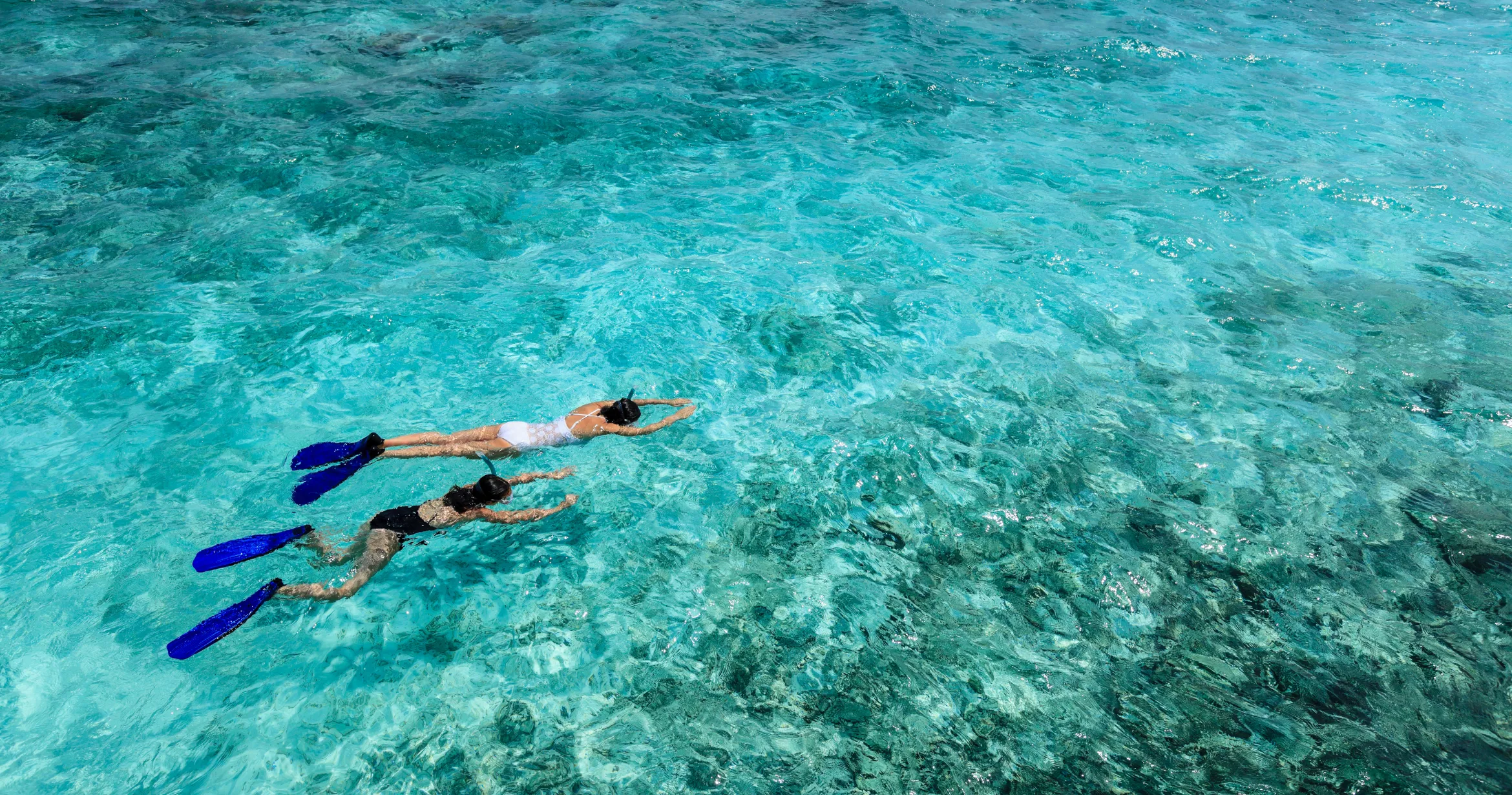 Top 5 Maldives Snorkeling Spots Explore Vibrant Coral Reefs