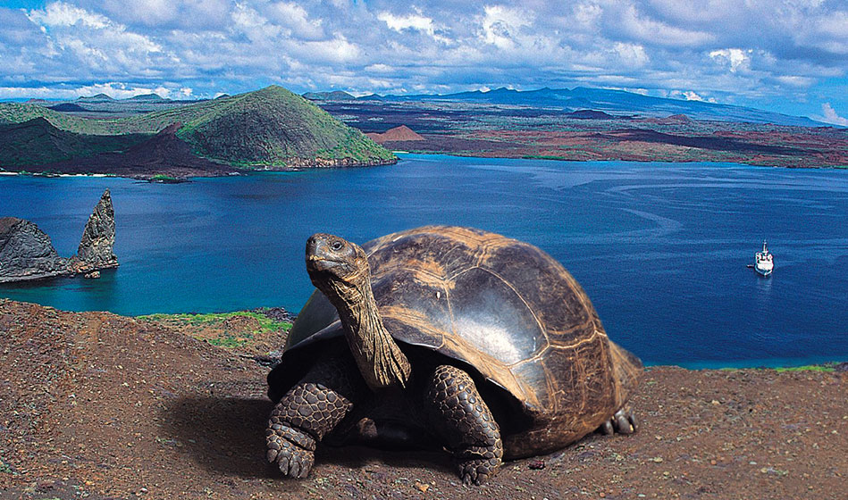 Galapagos Ecuador Vagamundos
