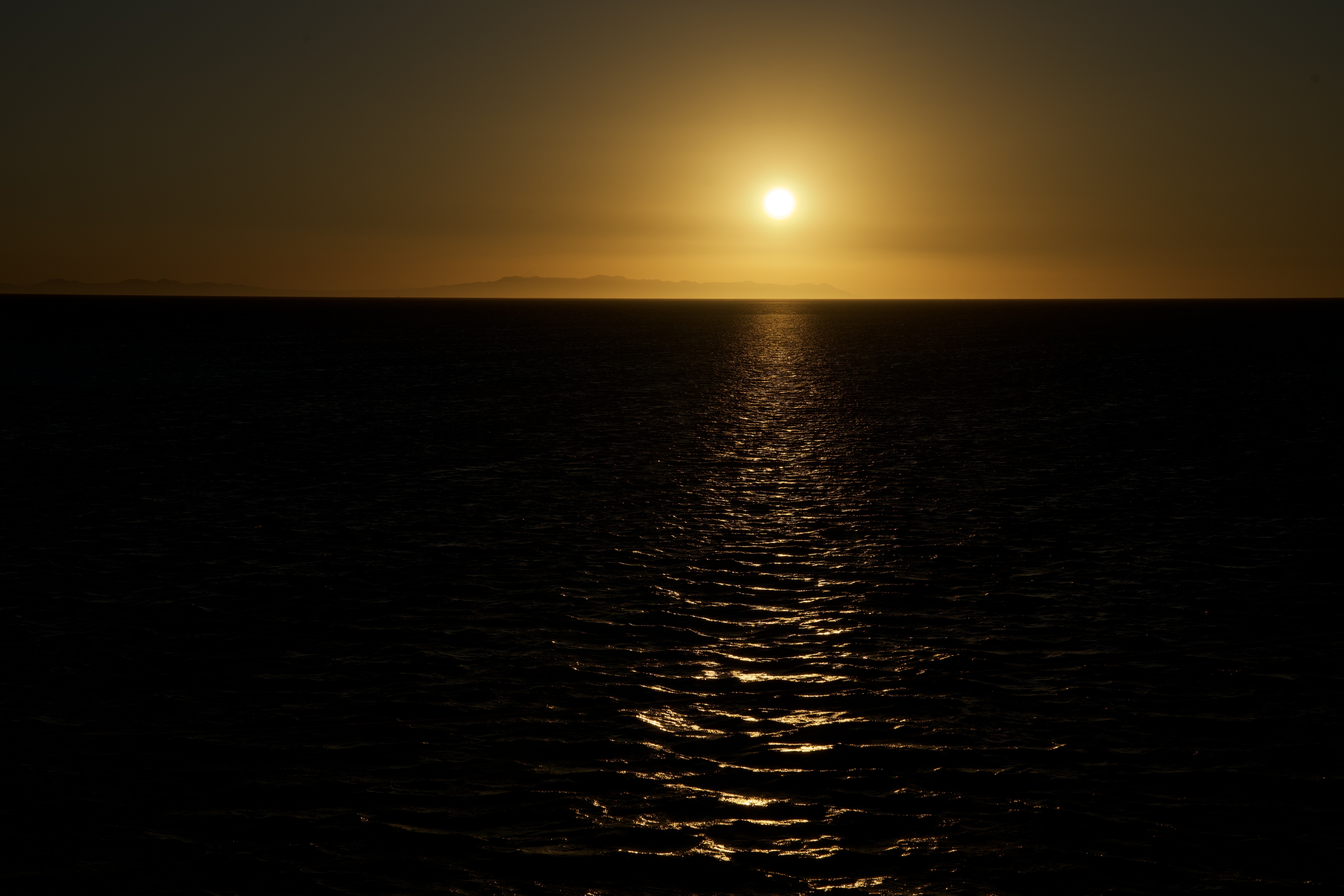 image00006