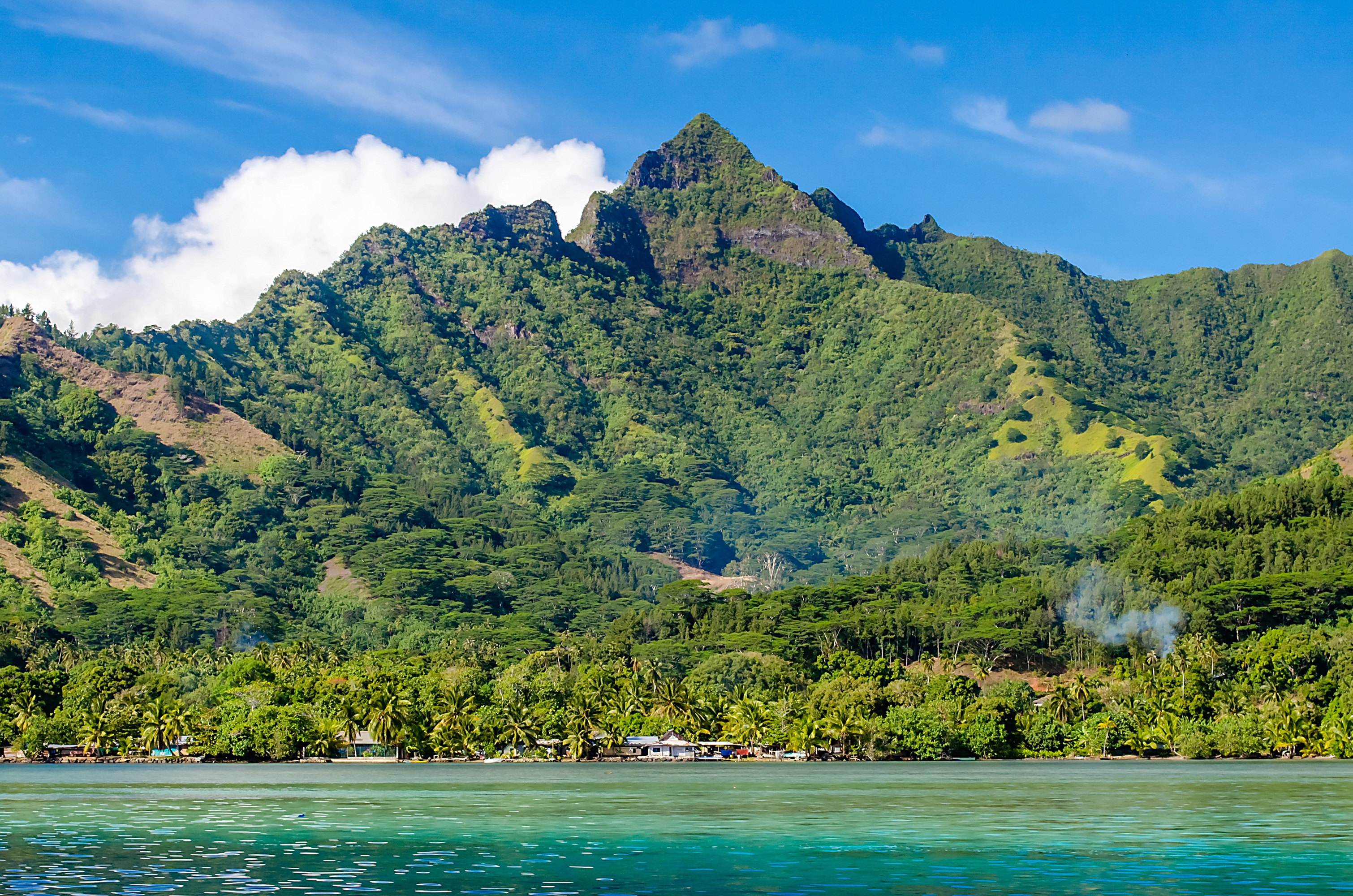 tropical beach in moorea french polynesia 2026 03 26 00 09 25 utc