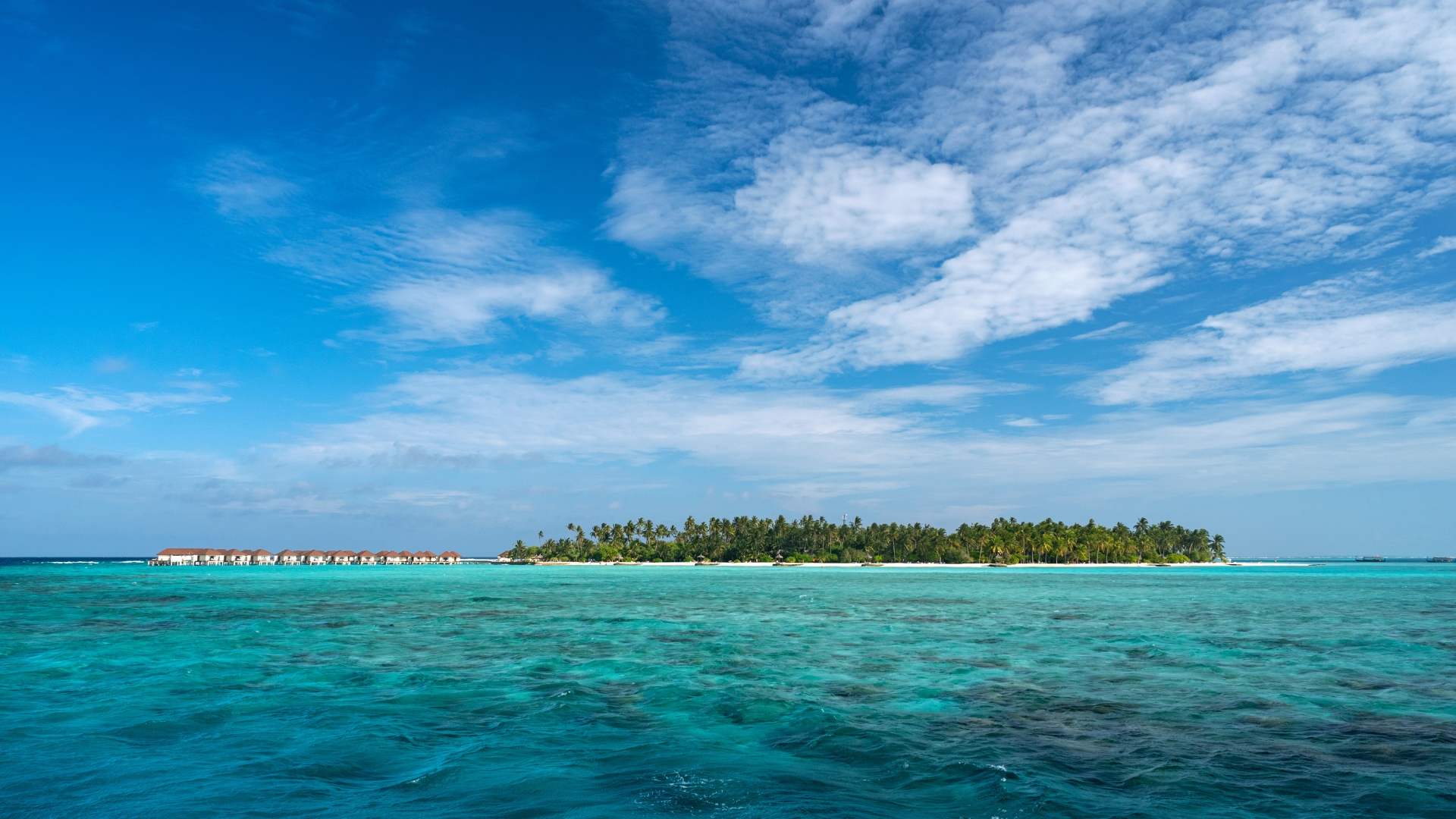 Maldivas - Felidhoo - Imagen 1