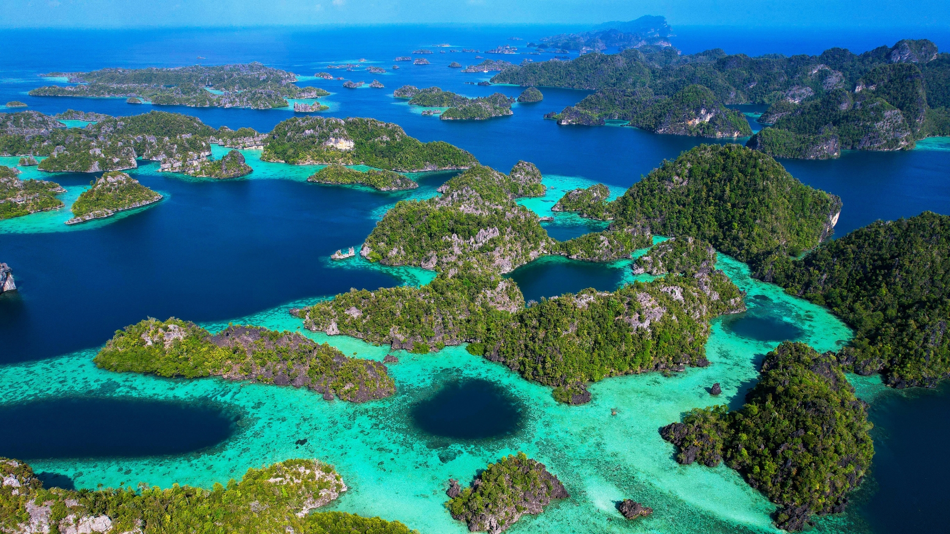 Raja Ampat - Vida a bordo Raja Laut